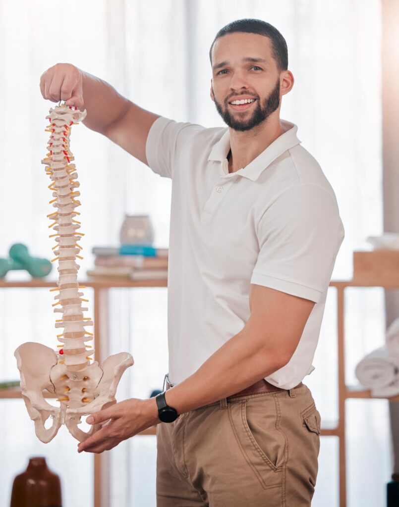 Chiropractor, spine of skeleton and portrait of doctor for healthcare, medical and orthopedic anato